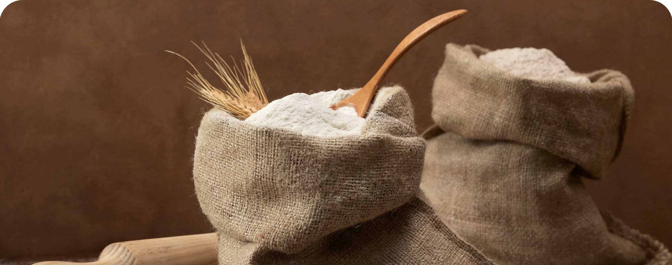 Overview of Flour Production Process: Flowchart, Stages, and Planning