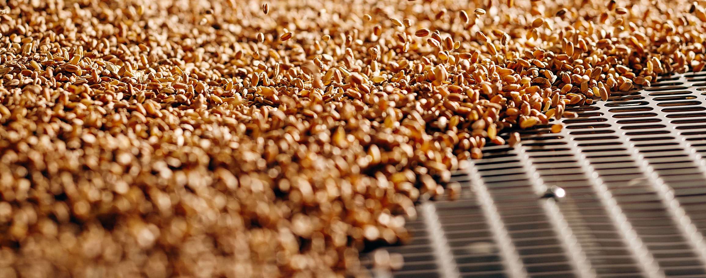 Exploring Grain Milling: From Factory to Feed