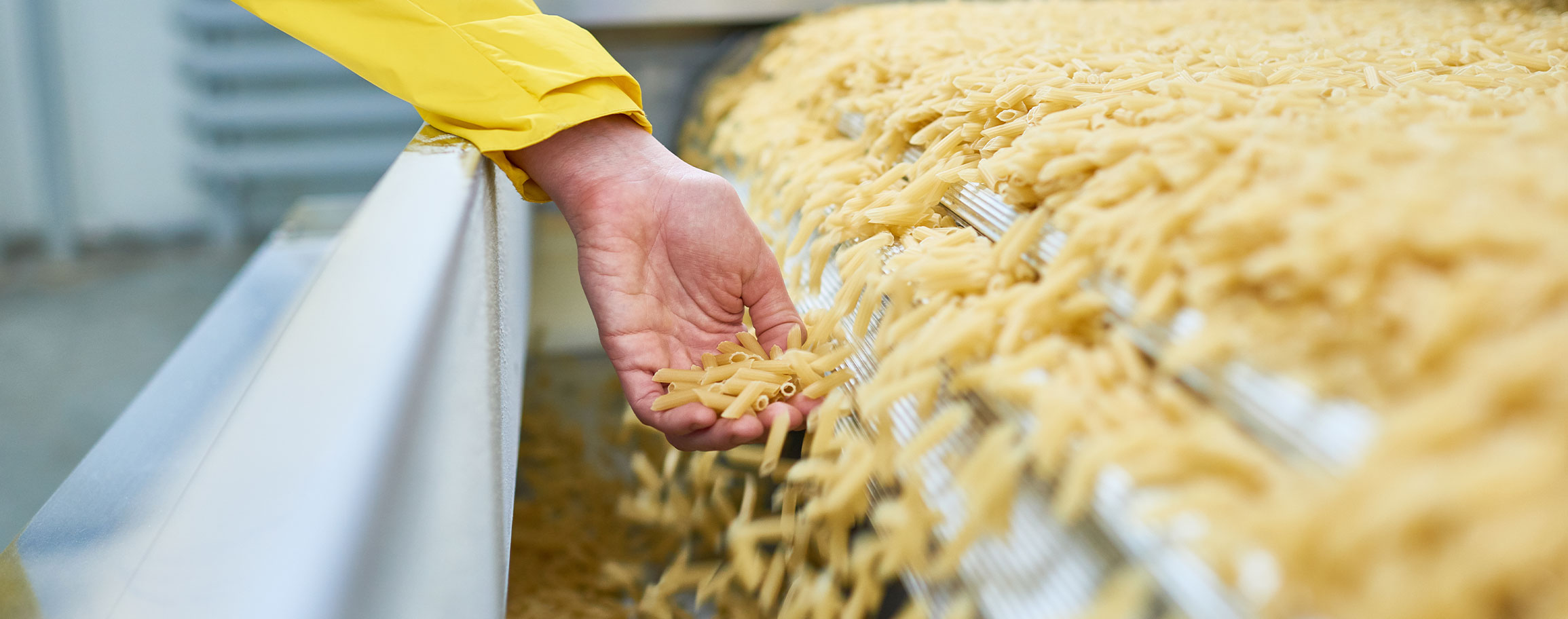 Unveiling the Art of Pasta Crushing: A Specialization by Alapros in Grain Milling Technology