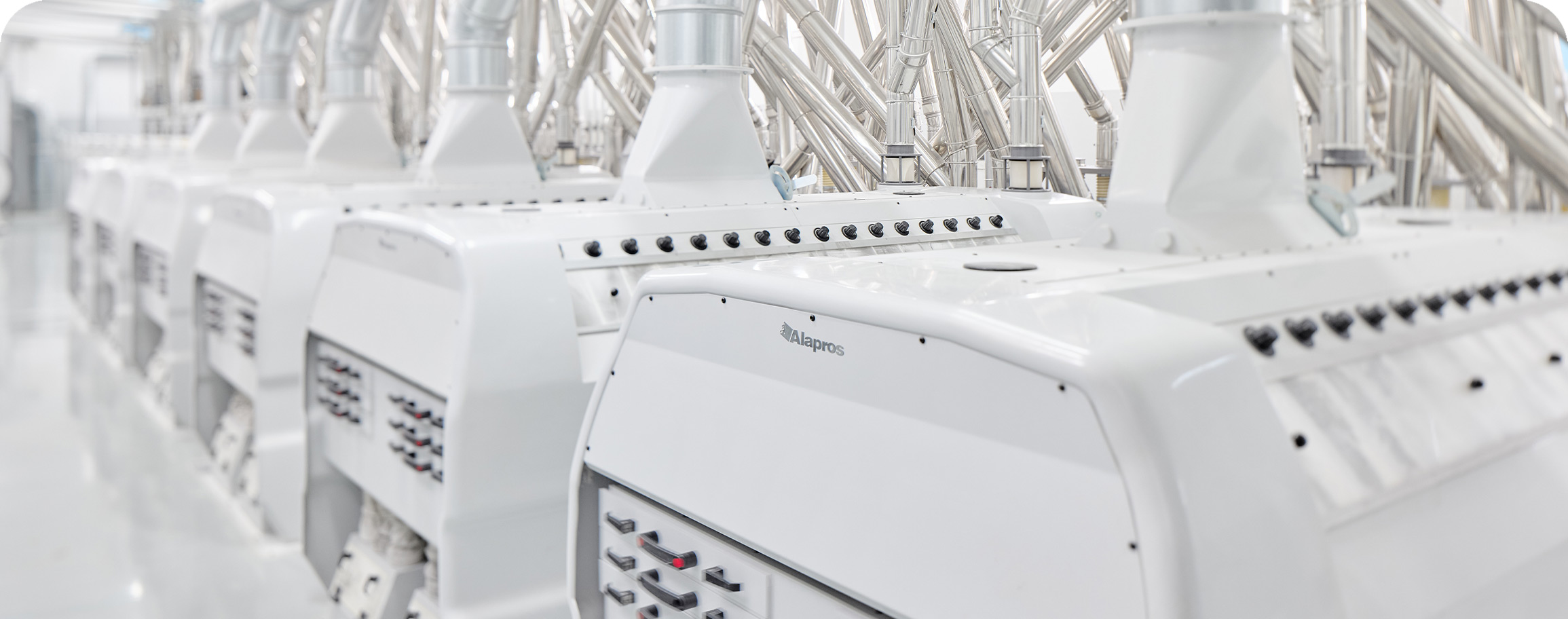 Semolina Purifier: A Key Technology for High-Quality Semolina Production