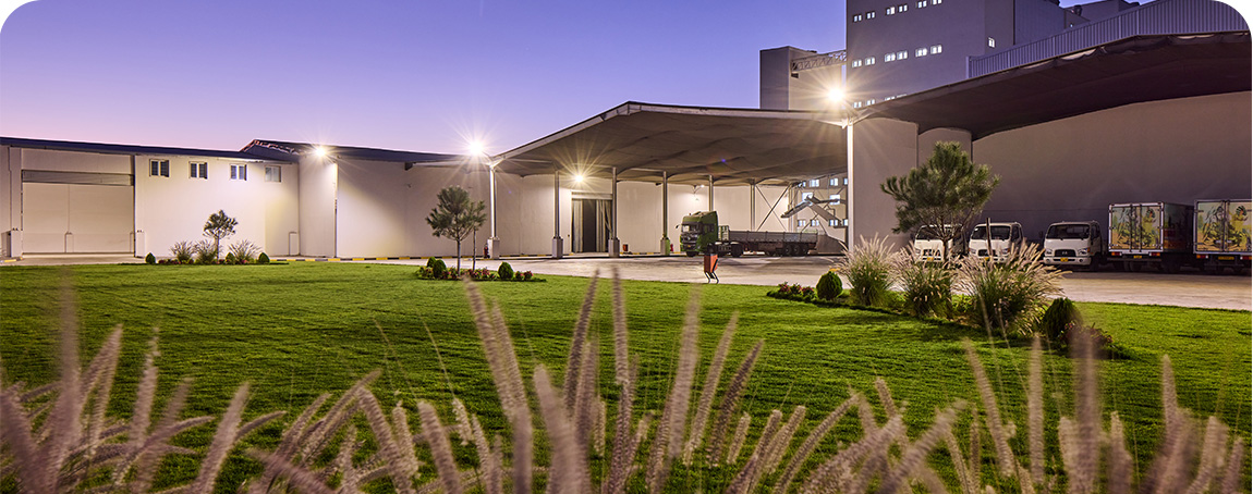 Planning a Turnkey Flour Mill Project: 7 Factors That Determine Long-Term Success