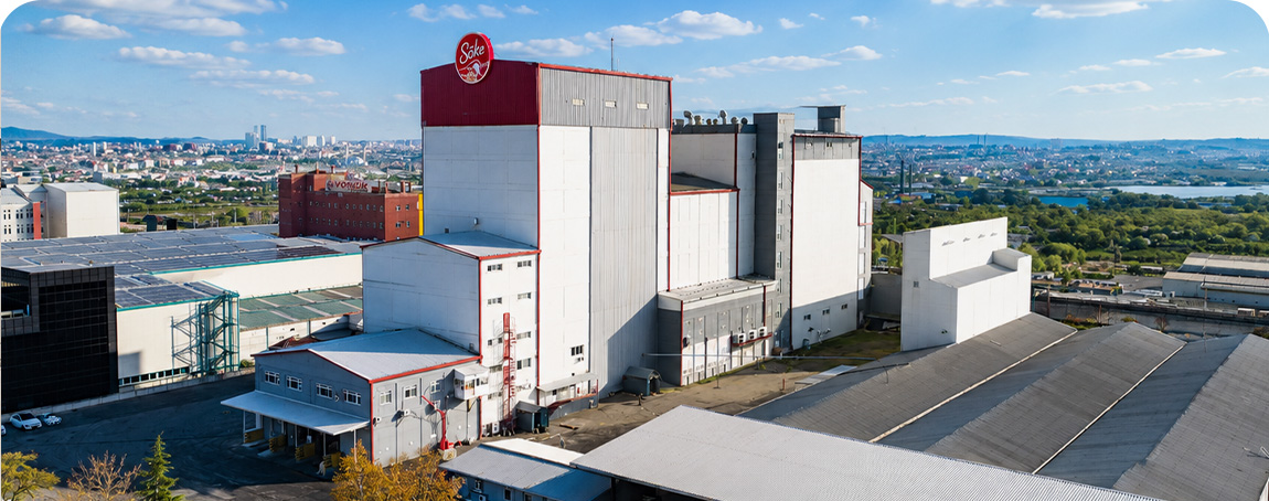 Choosing the Right Turnkey Flour Mill Manufacturer: What Every Investor Should Know